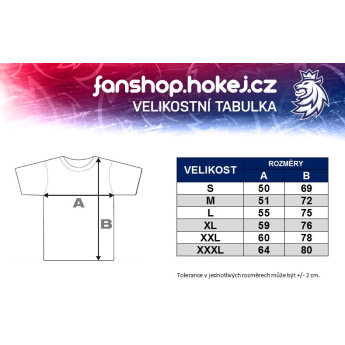 Jégkorong képviselet férfi póló grey Czech Ice Hockey logo EST 1908