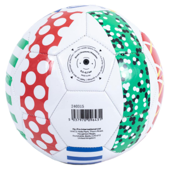 EURO 2024 futball labda Patterned size - 5