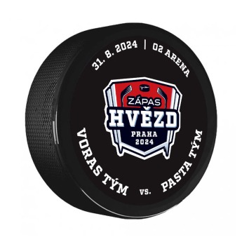 Jégkorong képviselet korong exhibition Prague 2024