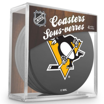 Pittsburgh Penguins korong nhl coaster