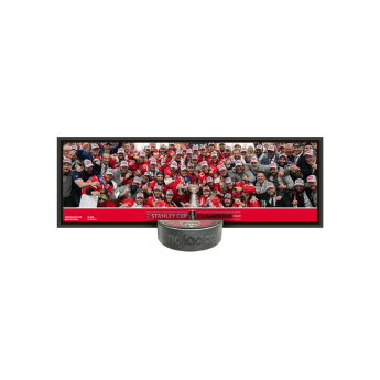 Florida Panthers gyűjtői plakett 2024 Stanley Cup Champions Deco Plaque
