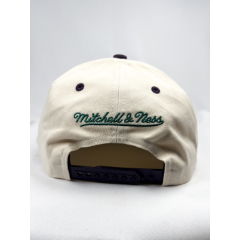 Anaheim Ducks baseball sapka Horizon Pro Snapback Vntg