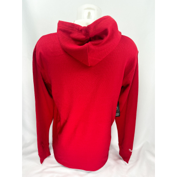 Detroit Red Wings férfi kapucnis pulóver Thermal Lightweight Hoodie Current Logo