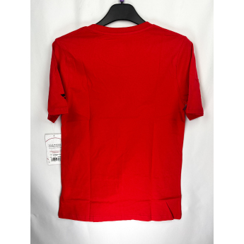 Detroit Red Wings gyerek póló Apro Wordmark Ss Ctn Tee