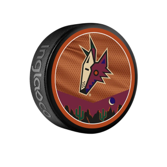 Arizona Coyotes korong reverse retro jersey souvenir collector hockey puck