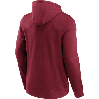 Colorado Avalanche férfi kapucnis pulóver Primary Logo Graphic Hoodie - VALUE