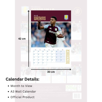 Aston Villa naptár 2025