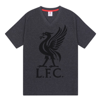 FC Liverpool férfi pizsama SLab grey