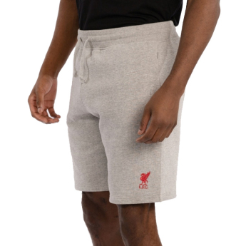 FC Liverpool férfi rövidnadrág sweat grey