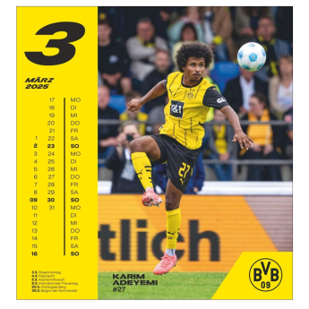Borussia Dortmund naptár 2025 Postcard