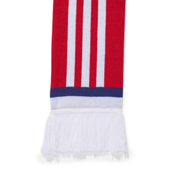 FC Arsenal téli sál red