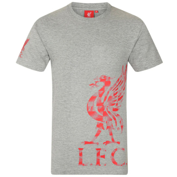 FC Liverpool férfi póló Graphic grey