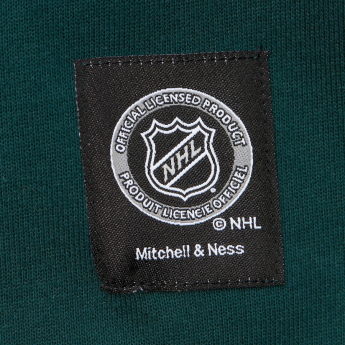Minnesota Wild férfi kapucnis pulóver Retro Fleece Current Logo
