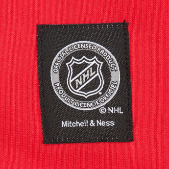 Florida Panthers férfi kapucnis pulóver Retro Fleece Current Logo