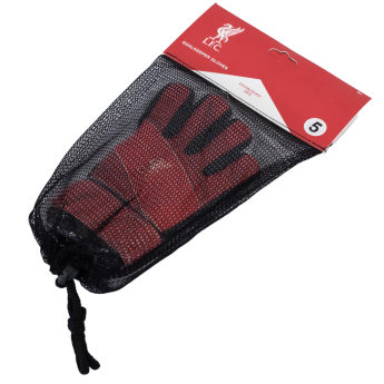 FC Liverpool gyerek kapuskesztyű Fuse Goalkeeper Gloves Kids 67-73mm palm width