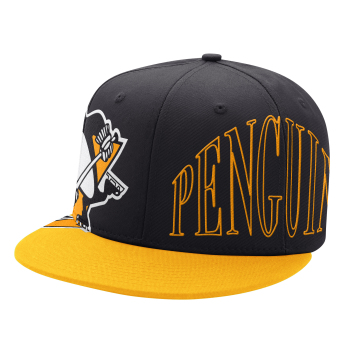 Pittsburgh Penguins baseball flat sapka Big Fan