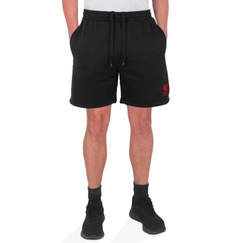 FC Liverpool férfi rövidnadrág Shorts black