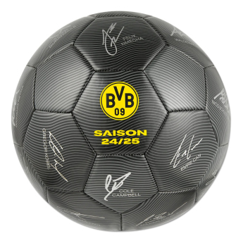 Borussia Dortmund futball labda 24/25 with signatures