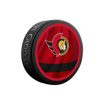 Ottawa Senators korong reverse retro jersey souvenir collector hockey puck