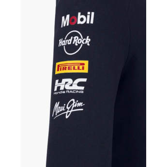 Red Bull Racing férfi kapucnis pulóver official Teamline Replica zip navy F1 Team 2025