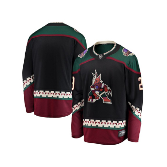 Arizona Coyotes hoki mez Karel Vejmelka #70 Breakaway Home Jersey