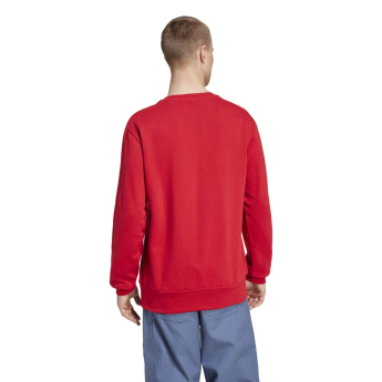 Bayern München férfi pulóver DNA Sweat red