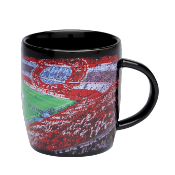 Bayern München bögre Arena