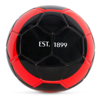 AC Milan futball labda Big logo