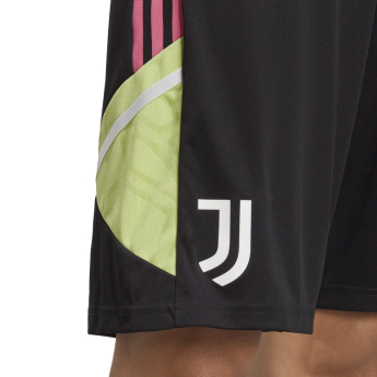 Juventus férfi rövidnadrág Condivo magenta