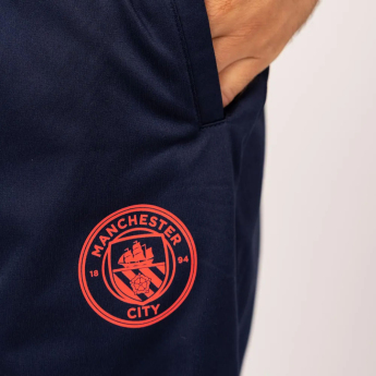 Manchester City férfi sportszett 2024/25 Away