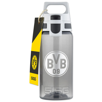 Borussia Dortmund ivókulacs grey