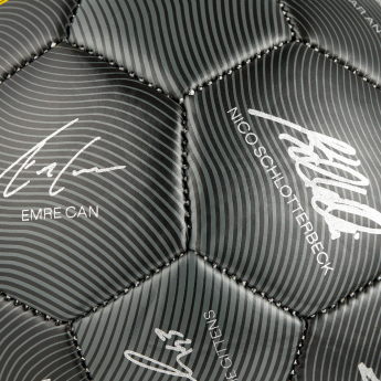 Borussia Dortmund futball labda 24/25 with signatures
