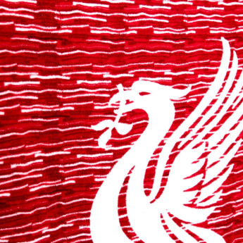 FC Liverpool fürdőlepedő Beach