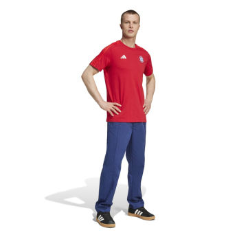 Bayern München férfi póló DNA Tee red