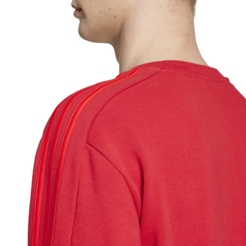 Bayern München férfi pulóver DNA Sweat red