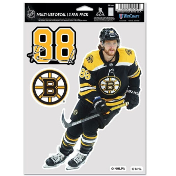 Boston Bruins matricák David Pastrnak #88 Color Decal