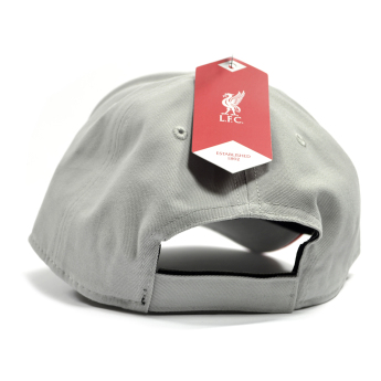 FC Liverpool baseball sapka Mass Two Tone grey