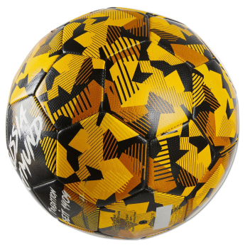 Borussia Dortmund futball labda Spirit