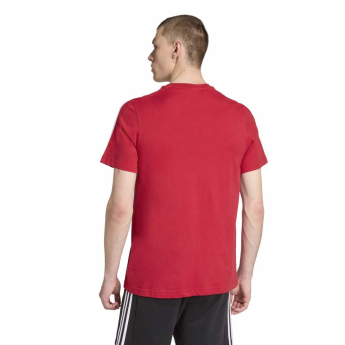 FC Liverpool férfi póló DNA Tee red