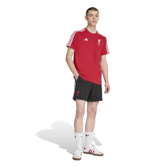 FC Liverpool férfi póló DNA Tee red