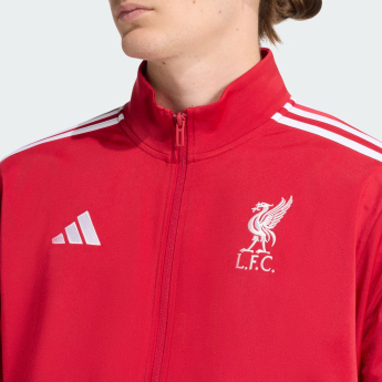 FC Liverpool férfi kabát DNA Track red