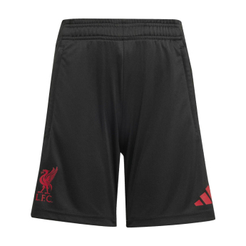 FC Liverpool gyerek edző rövidnadrág black