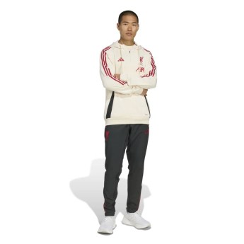 FC Liverpool férfi kapucnis pulóver Track beige