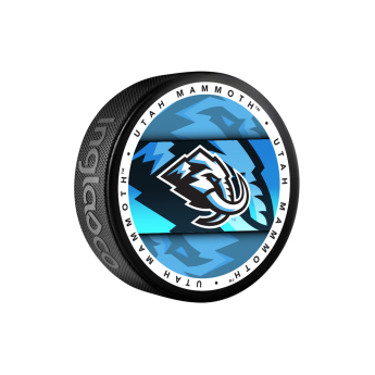 Utah Hockey Club korong Mammoth Medallion Souvenir Collector