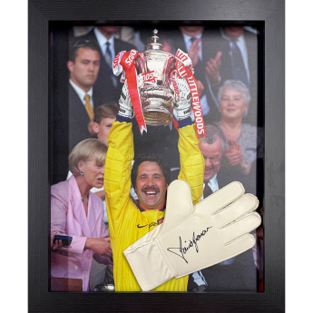 Legendák bekeretezett kesztyű Seaman Signed Glove (Framed)