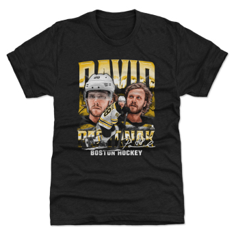 Boston Bruins gyerek póló David Pastrnak #88 Vintage WHT 500 Level
