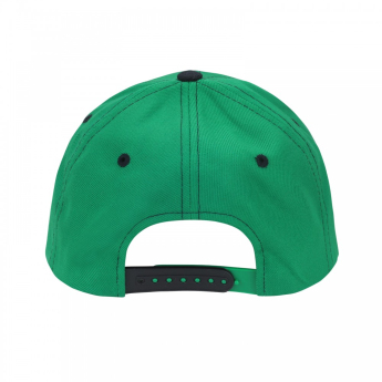 Dallas Stars Siltes sapka NHL Staple Adjustable