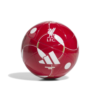 FC Liverpool mini focilabda Home
