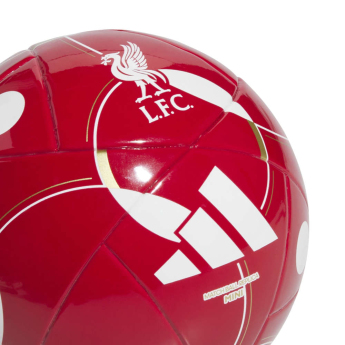 FC Liverpool mini focilabda Home