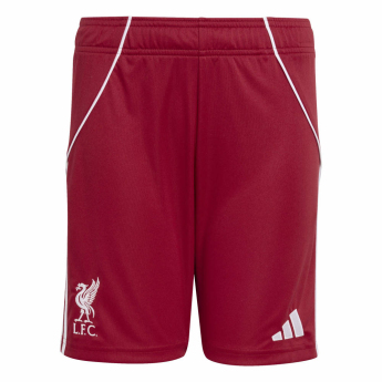 FC Liverpool gyerek alsónadrág 25/26 Home